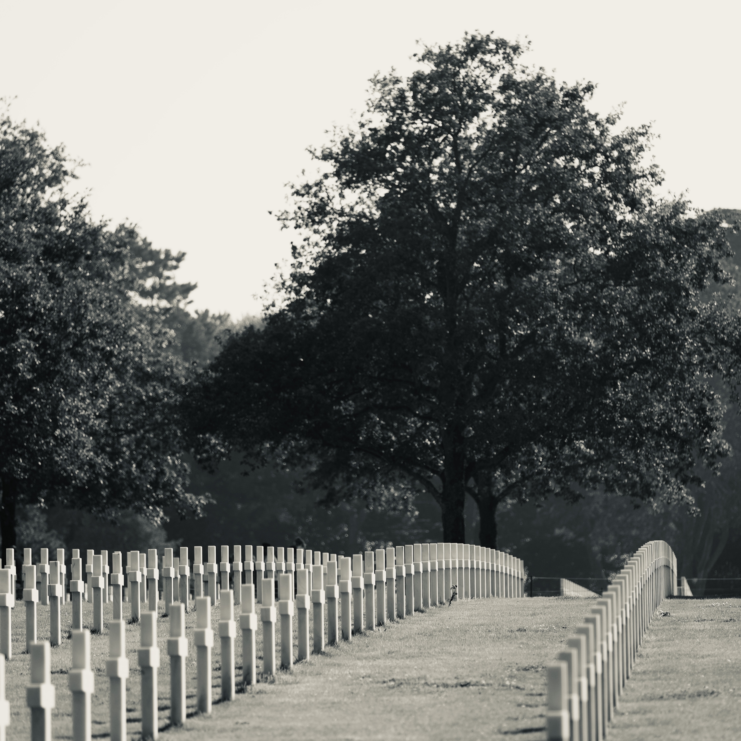 Soldatenfriedhof