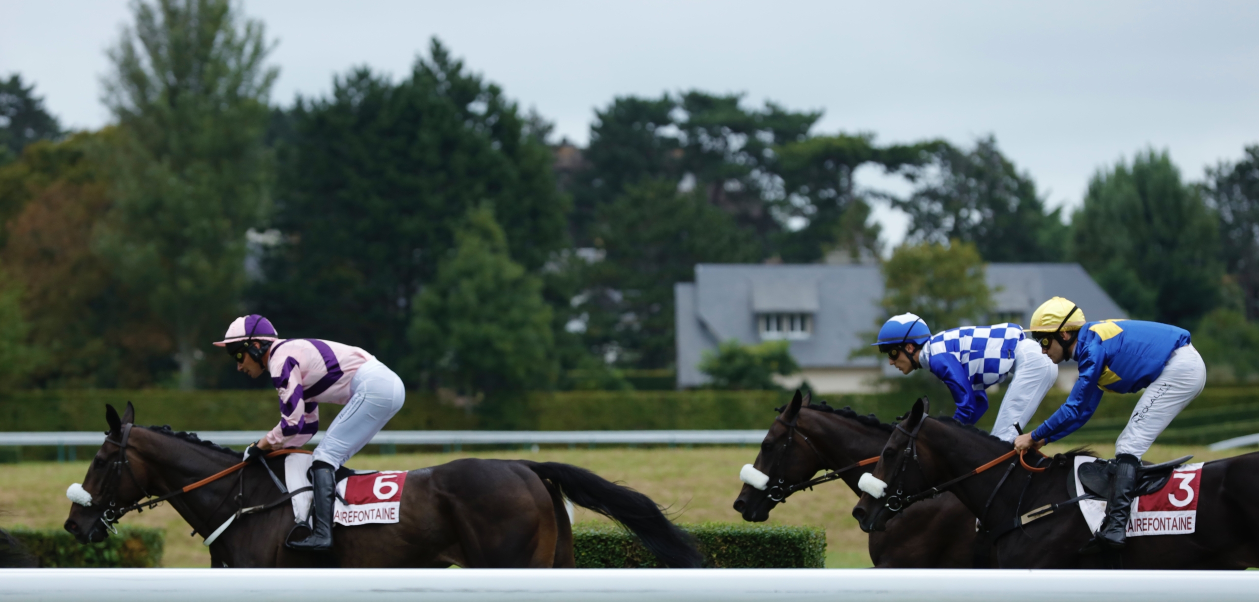 Pferderennen Deauville