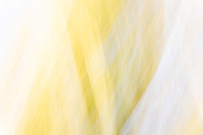 Herbststruktur Herbststruktur